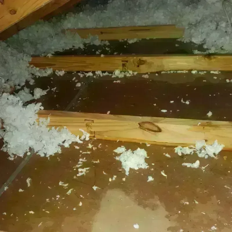 Attic Water Damage in Platteville, CO